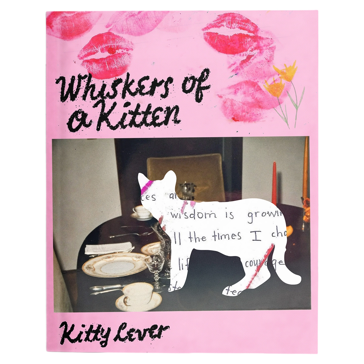 Whiskers of a Kitten